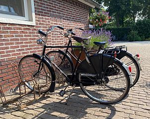 Verblijf 385610 - Vakantiewoning Noord Limburg - Vakantiehuisje in Baexem