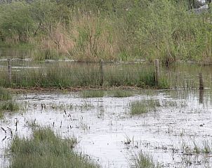 Verblijf 385610 - Vakantiewoning Noord Limburg - Vakantiehuisje in Baexem