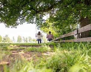 Guest house 385612 - Holiday property Noord Limburg - Vakantiehuis in Baexem -Leudal