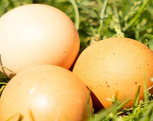 Guest house 385612 - Holiday property Noord Limburg - Vakantiehuis in Baexem -Leudal