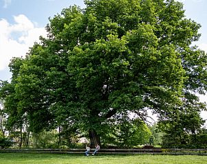 Guest house 385612 - Holiday property Noord Limburg - Vakantiehuis in Baexem -Leudal