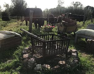 Unterkunft 385613 - Ferienhaus Noord Limburg - Vakantiehuis in Baexem
