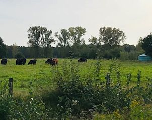 Unterkunft 385613 - Ferienhaus Noord Limburg - Vakantiehuis in Baexem