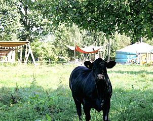 Unterkunft 385613 - Ferienhaus Noord Limburg - Vakantiehuis in Baexem