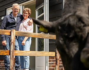 Guest house 385614 - Holiday property Noord Limburg - Huisje Met de kippen Op Stok/Sierkip