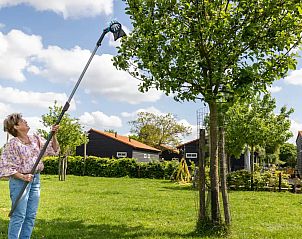 Guest house 385614 - Holiday property Noord Limburg - Huisje Met de kippen Op Stok/Sierkip