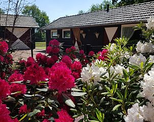 Guest house 385822 - Holiday property Noord Limburg - Vakantiehuisje in Heythuysen
