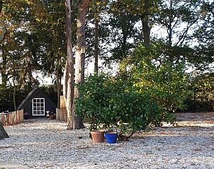 Guest house 385822 - Holiday property Noord Limburg - Vakantiehuisje in Heythuysen