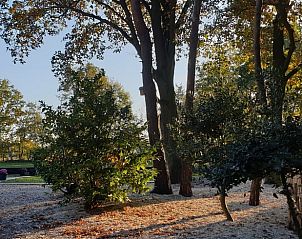 Guest house 385822 - Holiday property Noord Limburg - Vakantiehuisje in Heythuysen