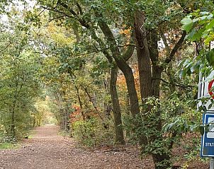 Guest house 385822 - Holiday property Noord Limburg - Vakantiehuisje in Heythuysen