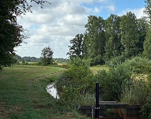 Natuurlijke omgeving bij Vakantiehuisje in Bergen, perfect voor wandelingen in Noord Limburg.