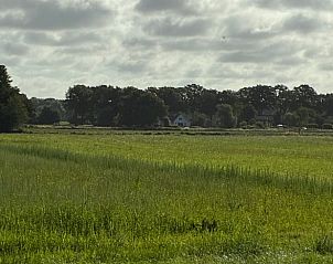 Landelijk uitzicht bij Vakantiehuisje in Bergen, Noord Limburg, omringd door natuur.