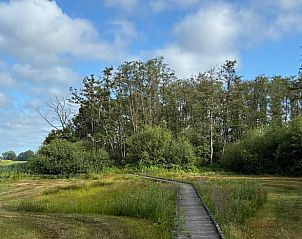 Wandelpad door het bos bij Vakantiehuisje in Bergen, ideaal voor natuurliefhebbers in Noord Limburg.