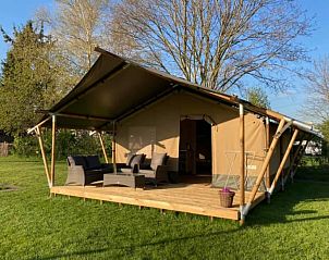 Unterkunft 386207 • Zelthaus Noord Limburg • Safaritent 