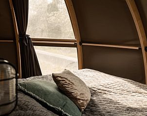 Verblijf 386420 - Vakantiewoning Noord Limburg - Vakantiehuisje in Ven-Zelderheide