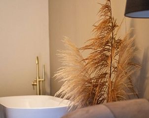 Unterkunft 387001 - Ferienhaus Noord Limburg - Vakantiehuis in Griendtsveen