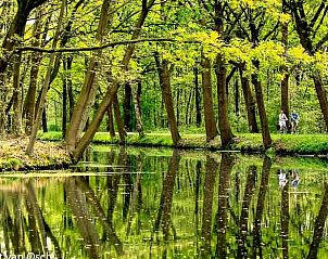 Unterkunft 387002 - Ferienhaus Noord Limburg - Vakantiehuisje in Griendtsveen