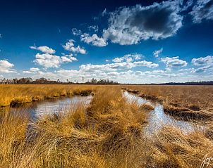 Unterkunft 387002 - Ferienhaus Noord Limburg - Vakantiehuisje in Griendtsveen