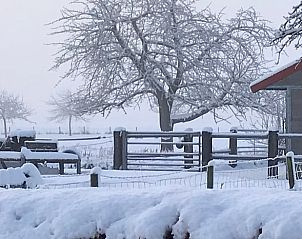 Winterlandschap rondom Vakantiehuisje in Heijenrath, Zuid Limburg, met besneeuwde bomen en hek.