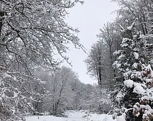 Wandelpad in besneeuwd bos nabij Vakantiehuisje in Heijenrath, Zuid Limburg, voor een winterse wandeling.