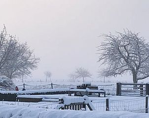 Besneeuwde boomgaard bij Vakantiehuisje in Heijenrath, Zuid Limburg, met rustige, witte omgeving.