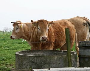 Unterkunft 390212 - Ferienhaus Zuid Limburg - Vakantiehuisje in Heijenrath