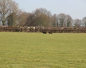 Unterkunft 390212 - Ferienhaus Zuid Limburg - Vakantiehuisje in Heijenrath