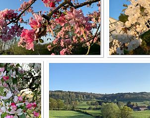 Unterkunft 390213 - Ferienhaus Zuid Limburg - Huisje in Heijenrath