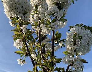 Unterkunft 390213 - Ferienhaus Zuid Limburg - Huisje in Heijenrath