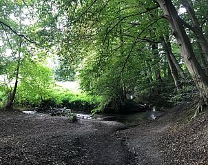 Schaduwrijke bosrijke omgeving nabij Vakantiehuisje in Heijenrath, Limburg voor wandelingen.