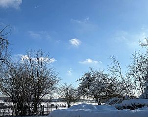 Heldere winterdag met besneeuwde bomen bij Vakantiehuisje in Heijenrath, Limburg.