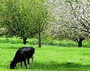 Guest house 390503 - Holiday property Zuid Limburg - Vakantiehuis in Mechelen