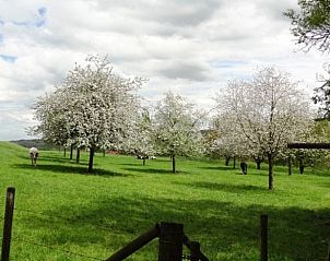 Guest house 390503 - Holiday property Zuid Limburg - Vakantiehuis in Mechelen