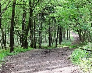 Guest house 390503 - Holiday property Zuid Limburg - Vakantiehuis in Mechelen