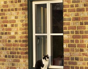 Guest house 390503 - Holiday property Zuid Limburg - Vakantiehuis in Mechelen