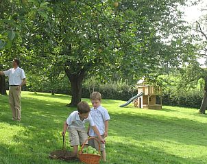 Kinderen plukken appels in de tuin van Buitenverblijf 't Herfse, vakantiehuis in Epen, Limburg.