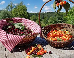 Mand vol kersen in de tuin van Buitenverblijf 't Herfse, vakantiehuis in Epen, Limburg.
