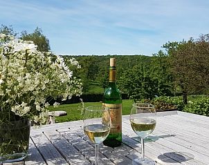 Terras met wijn en bloemen bij Buitenverblijf 't Herfse, vakantiehuis in Epen, Zuid Limburg.