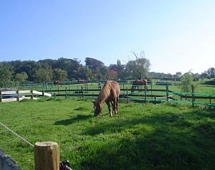 Guest house 390518 - Holiday property Zuid Limburg - Vakantiehuisje in Mechelen