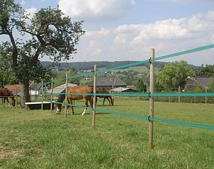 Guest house 390518 - Holiday property Zuid Limburg - Vakantiehuisje in Mechelen