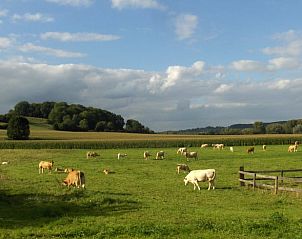 Guest house 390525 - Holiday property Zuid Limburg - Vakantiehuis in Mechelen