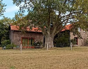 Vacation home in Mechelen, South Limburg, located in a green area with a large tree for a rustic stay in Limburg.
