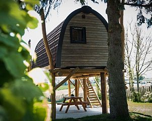 Treelodge 2 in Gulpen, South Limburg offers a unique glamping experience high in the trees with stunning views of the natural surroundings.