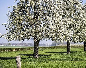 Unterkunft 390910 - Ferienhaus Zuid Limburg - Vakantiehuis Bungalowpark Landsrade