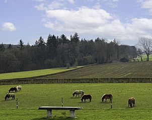 Unterkunft 390910 - Ferienhaus Zuid Limburg - Vakantiehuis Bungalowpark Landsrade