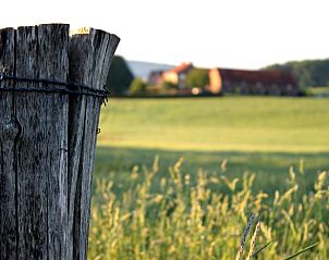 Guest house 3909116 - Holiday property Zuid Limburg - Huisje in Gulpen