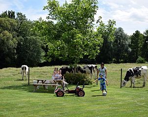 Unterkunft 3909117 - Ferienhaus Zuid Limburg - Vakantiehuis in Gulpen