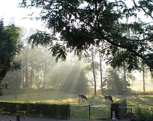 Unterkunft 3909117 - Ferienhaus Zuid Limburg - Vakantiehuis in Gulpen