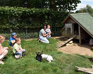 Unterkunft 3909117 - Ferienhaus Zuid Limburg - Vakantiehuis in Gulpen