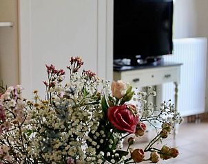 Unterkunft 3909119 - Ferienhaus Zuid Limburg - Vakantiehuisje in Gulpen